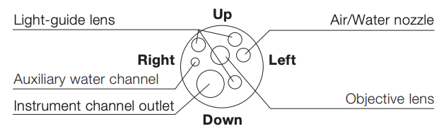 Distal end diagram