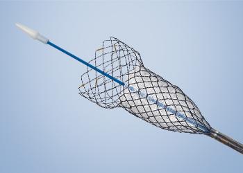 HANAROSTENT® Esophagus Through-the-Scope (TTS)