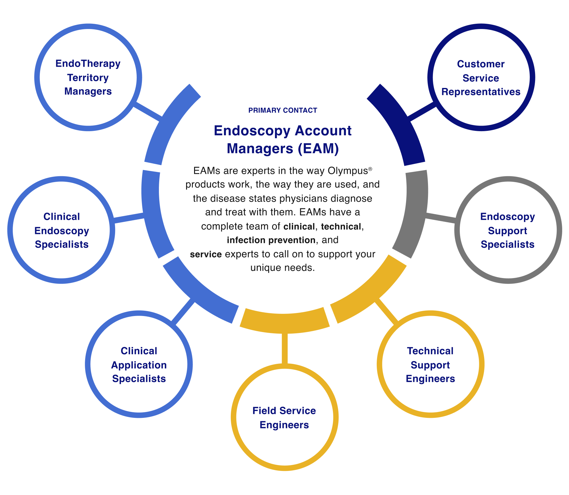 Endoscopy Account Managers (EAM)