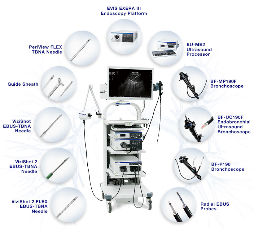 OLYMPUS EBUS SOLUTION | Olympus America | Medical